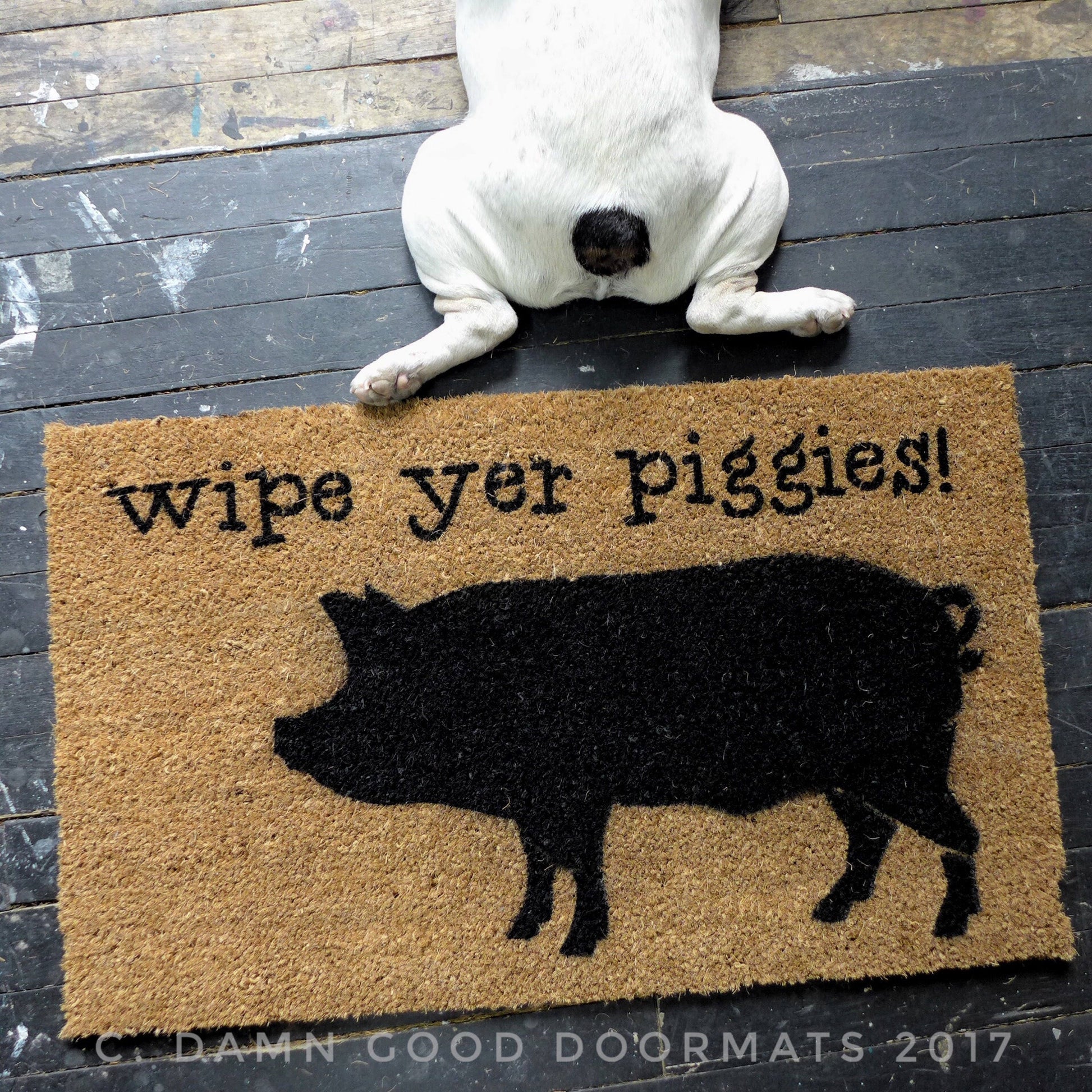 Promotional graphic for an all natural, sustainable, eco-friendly coir doormat made by Damn GoodDoormats