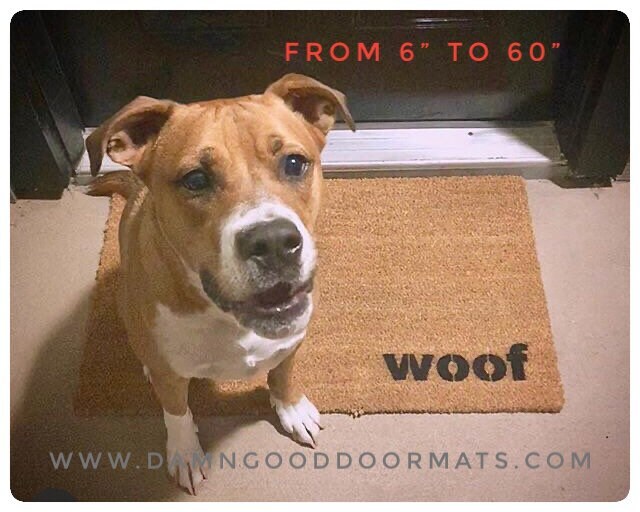 Promotional graphic for an all natural, sustainable, eco-friendly coir doormat made by Damn GoodDoormats