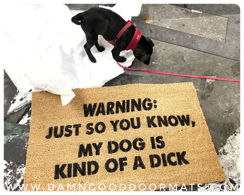 RUDE DOG'S - or cat's- kind of a dick or bitch Warning funny doormat dog lover style family friendly gift