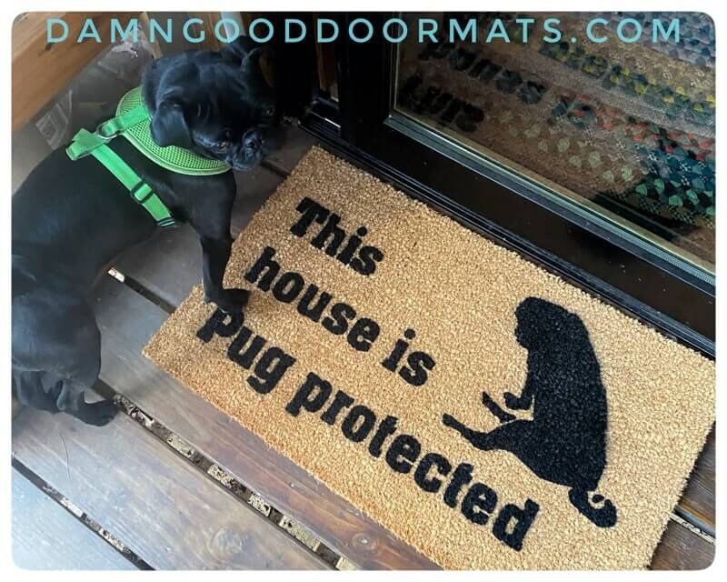 Promotional graphic for an all natural, sustainable, eco-friendly coir doormat made by Damn GoodDoormats