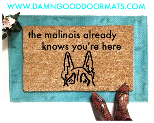 Promotional graphic for an all natural, sustainable, eco-friendly coir doormat made by Damn GoodDoormats